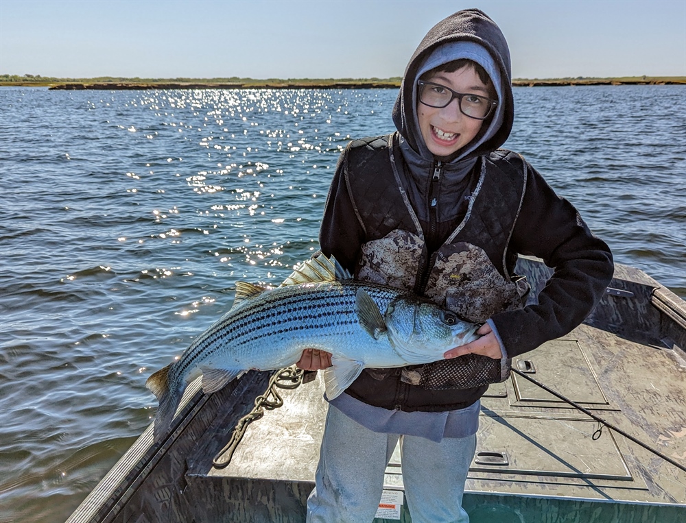 Take Action - Atlantic Striped Bass Addendum II