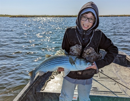 Take Action - Atlantic Striped Bass Addendum II