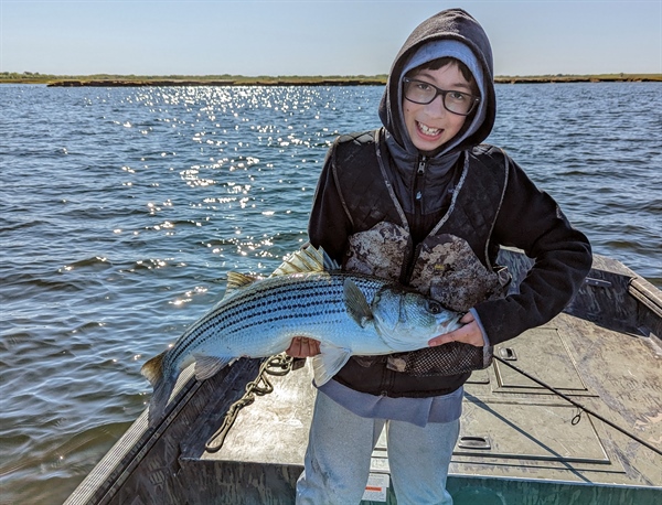 Take Action - Atlantic Striped Bass Addendum II