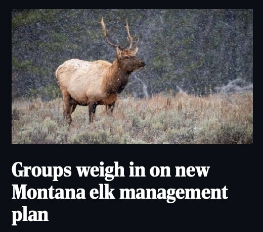 Groups weigh in on new Montana elk management plan
