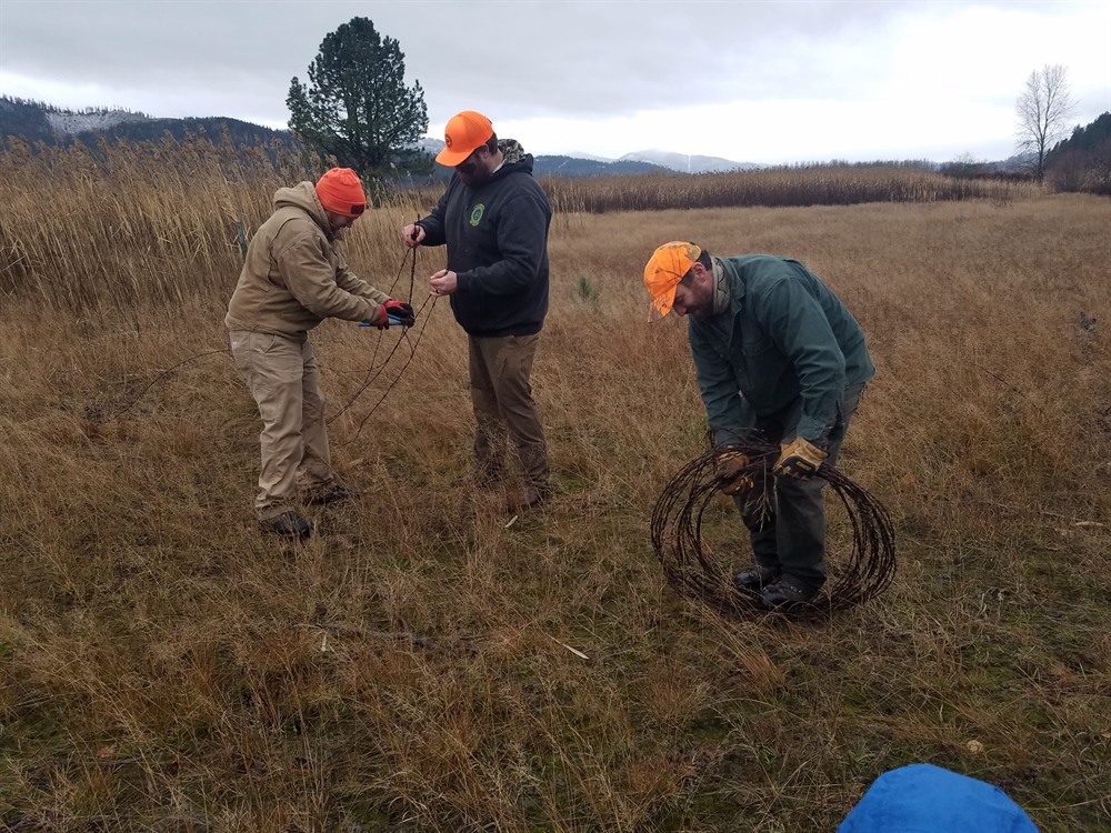 Calls, Quacks, and Barbed Wire Hacks