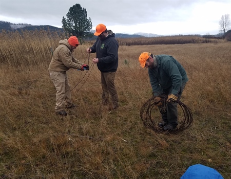 Calls, Quacks, and Barbed Wire Hacks