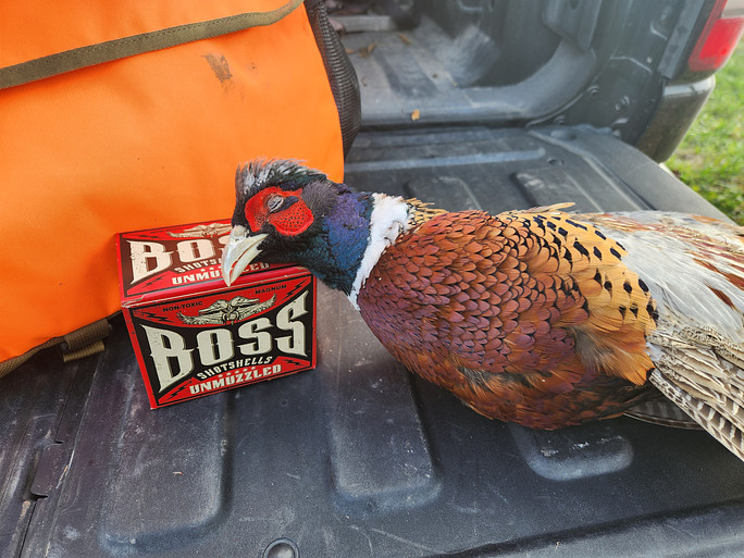 Kansas AFI Upland 101