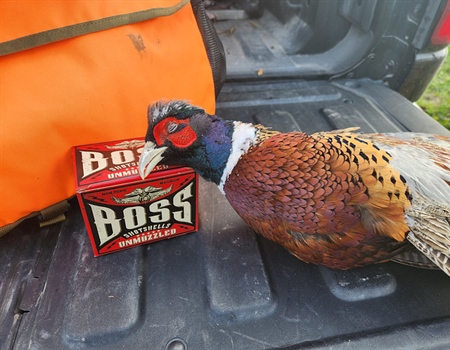 Kansas AFI Upland 101