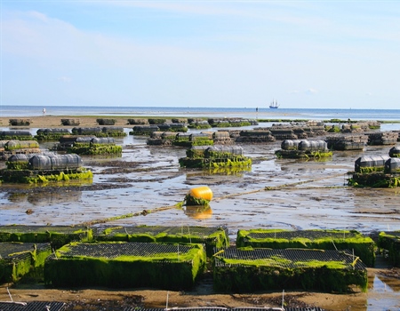 RI – Sapowet Cove Aquaculture Application determined to be ‘Contested’