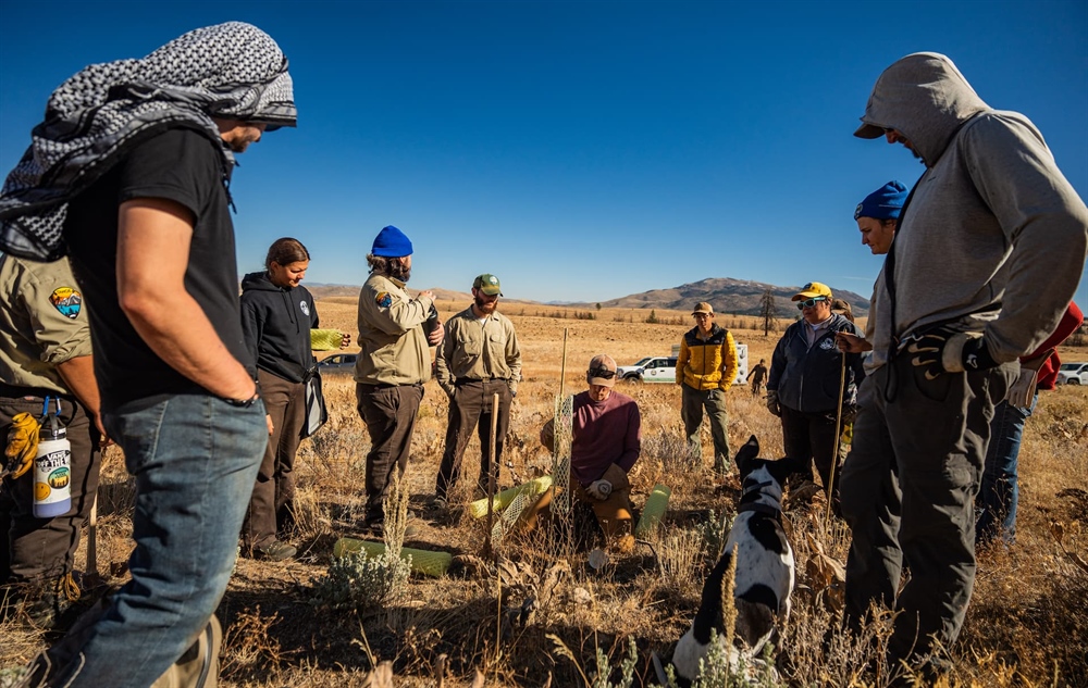 Beers, Bands, and Bitterbrush Stands - Public Land Stewardship with the California & Nevada BHA Chapters