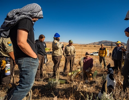 Beers, Bands, and Bitterbrush Stands - Public Land Stewardship with the California & Nevada BHA Chapters