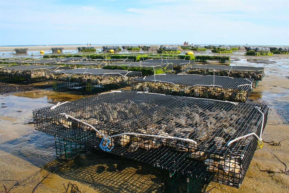 Rhode Island BHA Calls for Denial of Aquaculture Proposal