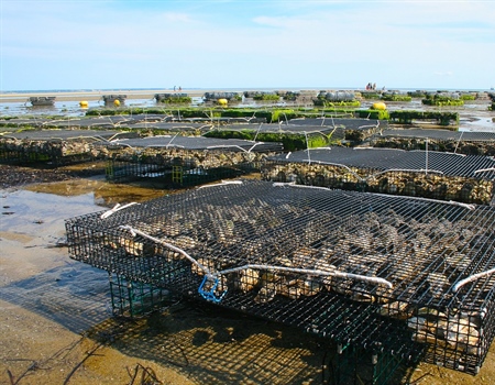 Rhode Island BHA Calls for Denial of Aquaculture Proposal