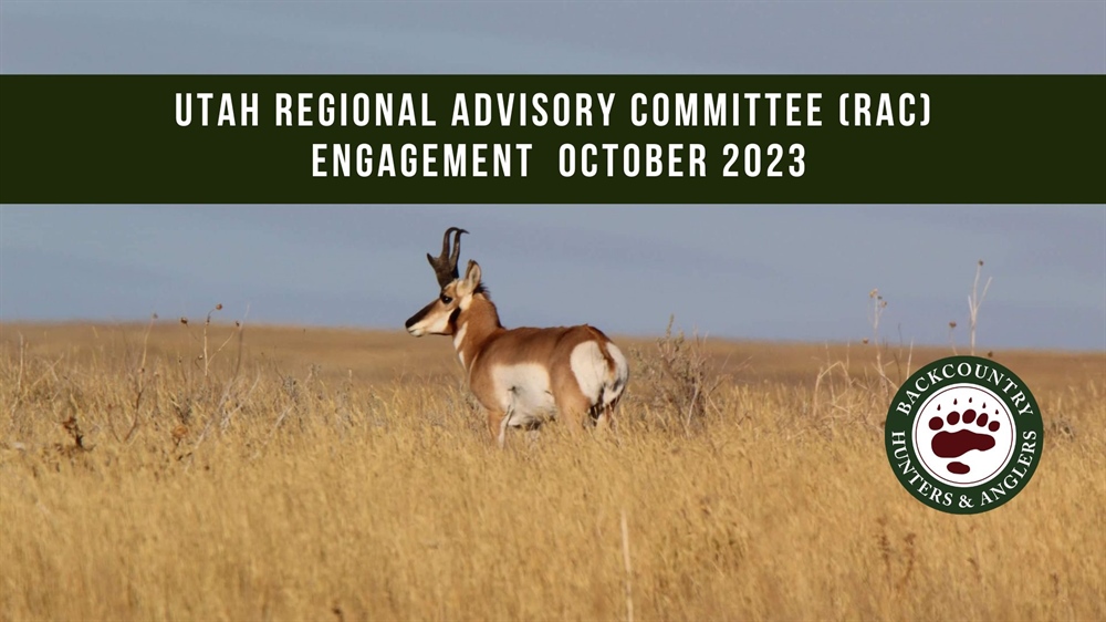 Utah Regional Advisory Council (RAC) Engagement - November 2023