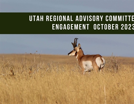 Utah Regional Advisory Council (RAC) Engagement - November 2023