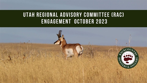 Utah Regional Advisory Council (RAC) Engagement - November 2023