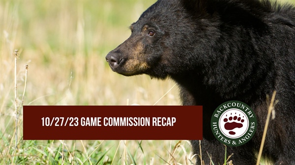 10/27/23 New Mexico Game Commission Recap