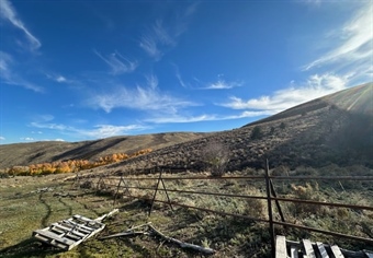 Edwards Creek Project Update