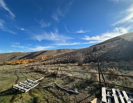 Edwards Creek Project Update