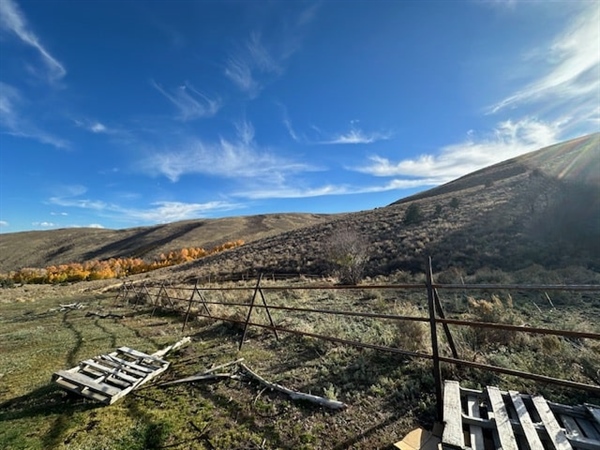 Edwards Creek Project Update