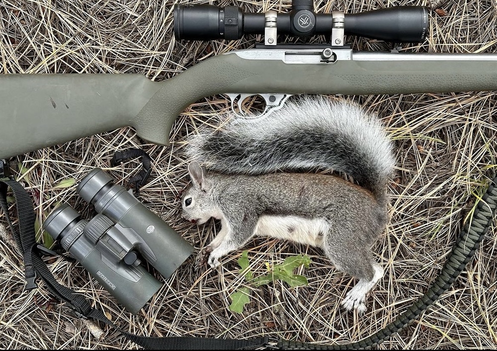 7th Annual Family Squirrel Camp Recap