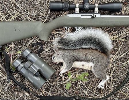 7th Annual Family Squirrel Camp Recap