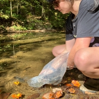 5th Annual Trout Stocking with KY BHA