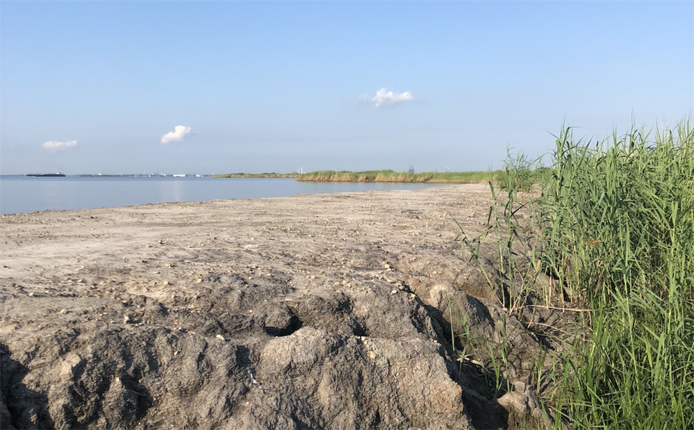 TEXAS BHA SUPPORTS THE CREATION OF THE CENTENNIAL PARKS CONSERVATION FUND