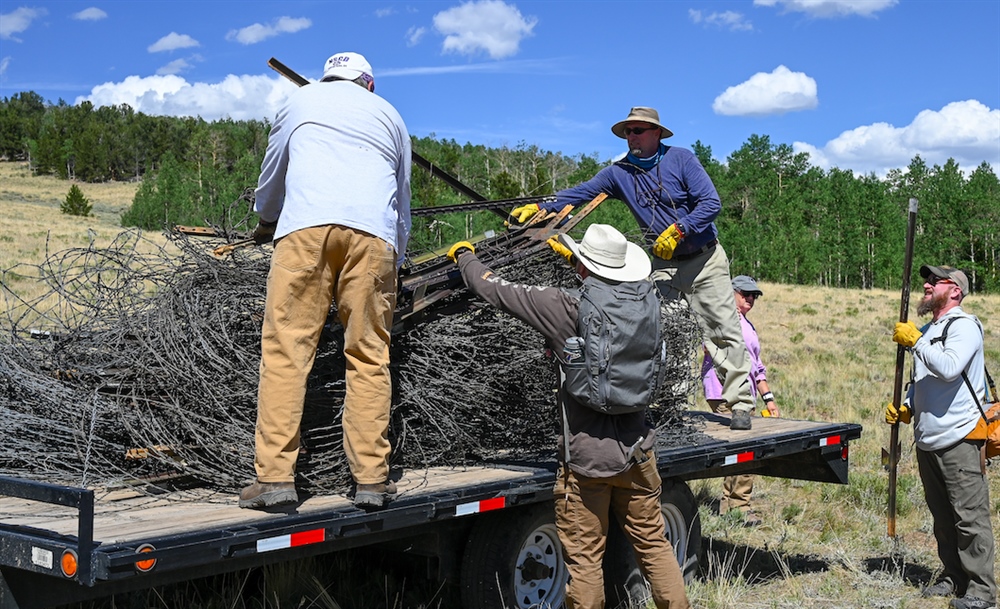 CO AFI Pulls fence