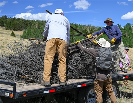CO AFI Pulls fence