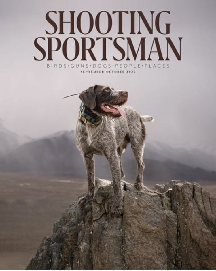 AFI Snow Goose Hunt As Seen in Shooting Sportsman