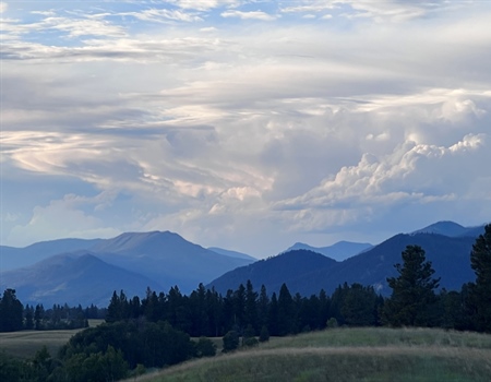 Montana BHA 2023 Fall Newsletter