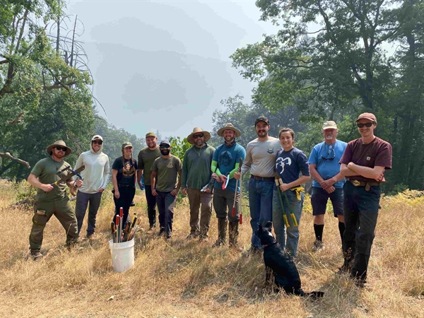 BHA Volunteers Help Expand Elk, Deer & Bear Habitat in Northwest California