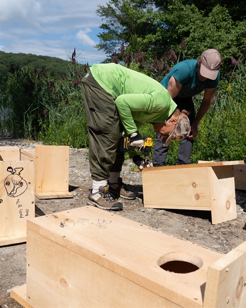NY BHA September Newsletter