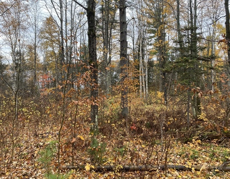 MI BHA Supports MNRTF Application for Southern Michigan Land Acquisition