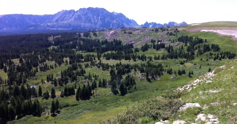 Hermosa Creek