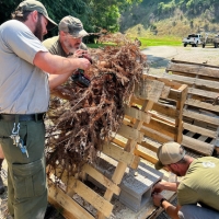 KY BHA & US Army Corp of Engineers partner for Fish Habitat in Buckhorn Lake