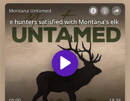 Are hunters satisfied with Montana's elk management? A 5,800-person survey offers answers