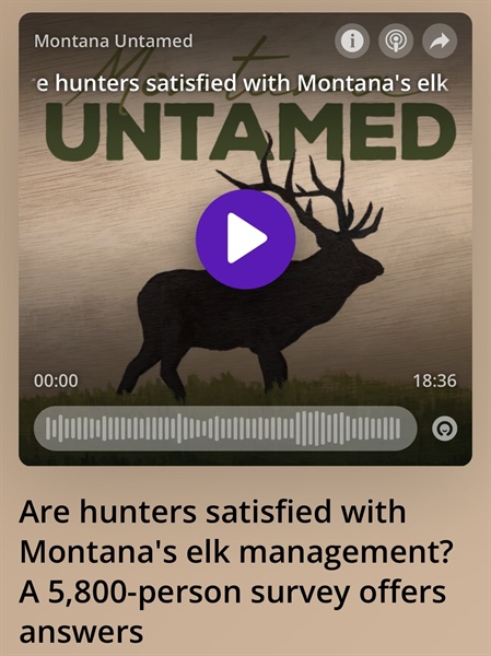Are hunters satisfied with Montana's elk management? A 5,800-person survey offers answers