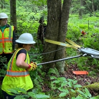 PA Chapter dips a toe into restoring habitat in deep forest streams
