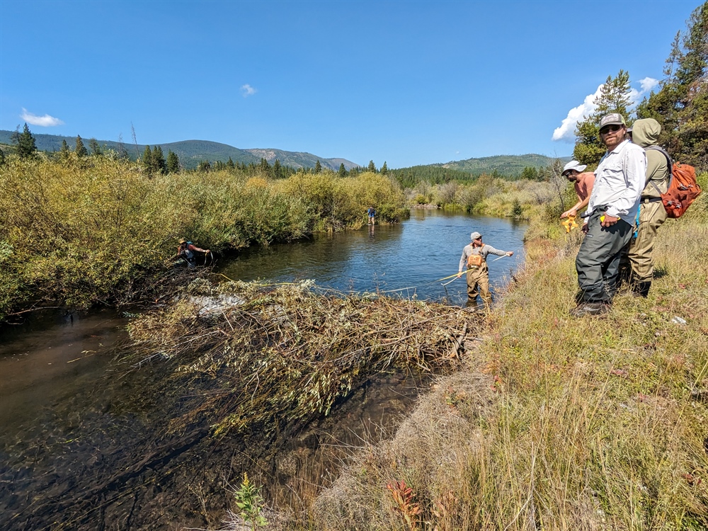EVENT RECAP: Montana BHA Helps Bureau of Land Management Inventory Beaver Dams
