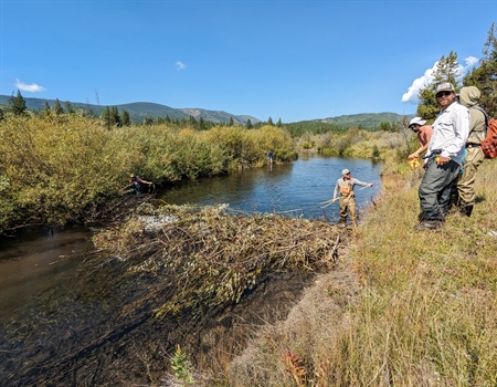 EVENT RECAP: Montana BHA Helps Bureau of Land Management Inventory Beaver Dams