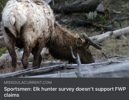 Sportsmen: Elk Hunter Survey Doesn't Support FWP Claims