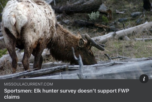 Sportsmen: Elk Hunter Survey Doesn't Support FWP Claims