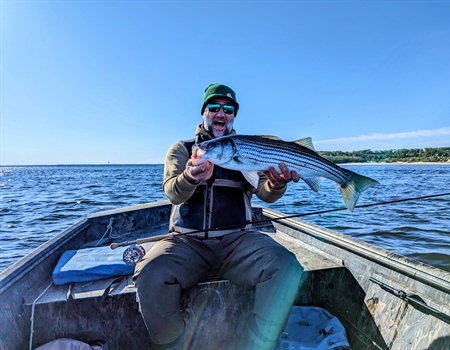 New England BHA Funds Striped Bass Research