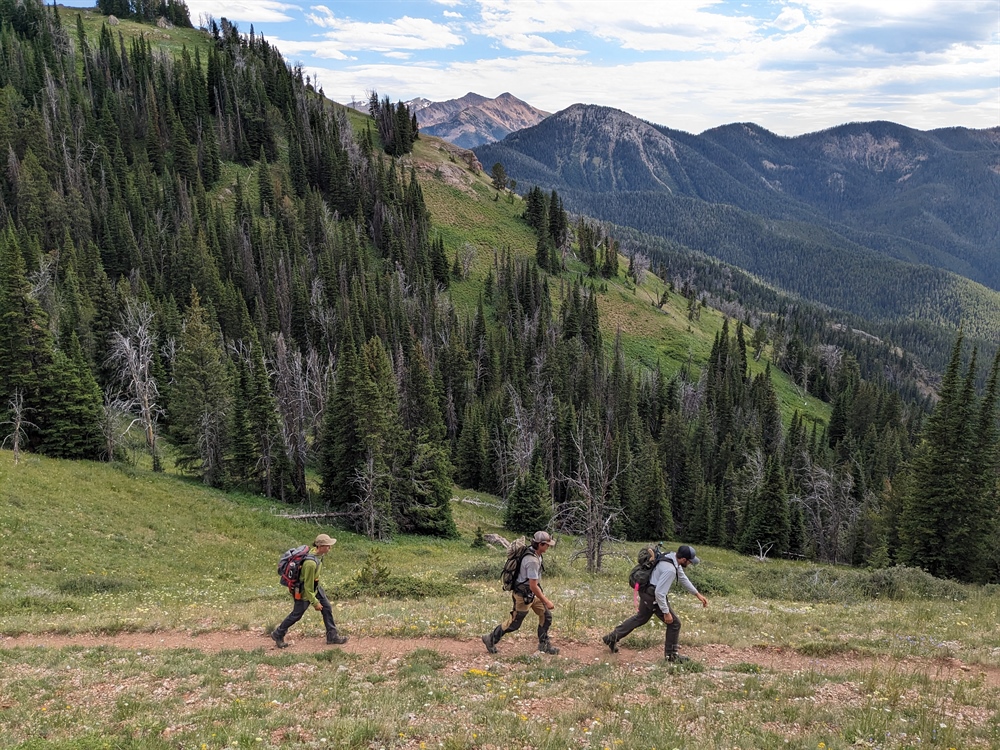 Montana BHA Improves 7 Miles of Trail in the Lee Metcalf Wilderness