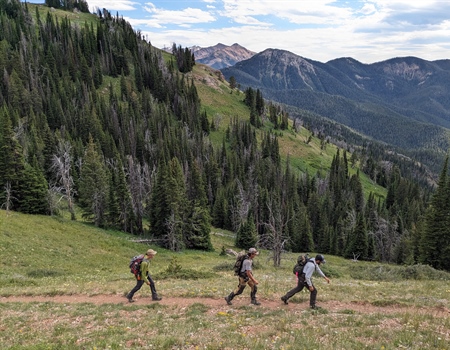 Montana BHA Improves 7 Miles of Trail in the Lee Metcalf Wilderness