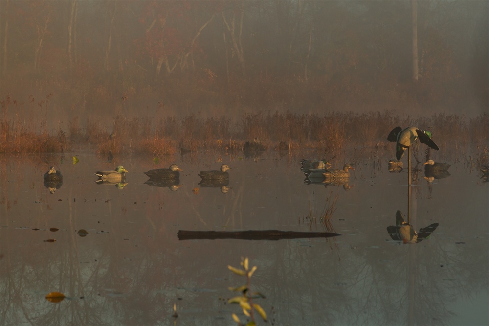 Rhode Island BHA Sponsors DEM Youth Waterfowl Hunt