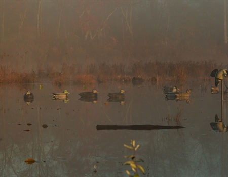 Rhode Island BHA Sponsors DEM Youth Waterfowl Hunt