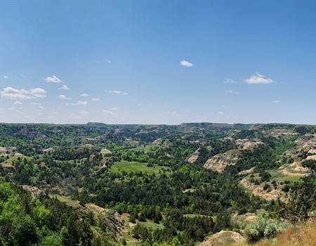 LETTER: North Dakota BHA Opposes State Trust Lands Completion Act (S. 1088)