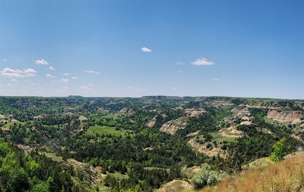 LETTER: North Dakota BHA Opposes State Trust Lands Completion Act (S. 1088)