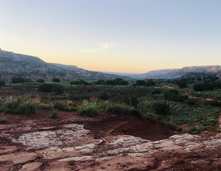 The Battle of Texas Public Lands
