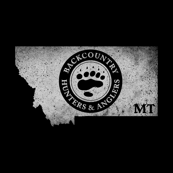 Montana BHA 2023 Summer Newsletter