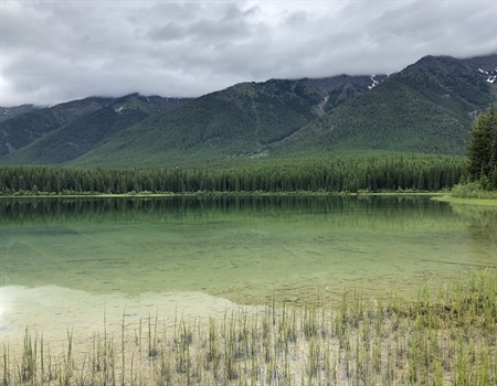 TAKE ACTION: Support the Blackfoot Clearwater Stewardship Act!